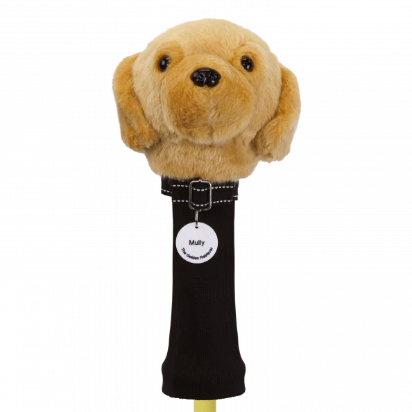 Izzo Golden Retriever