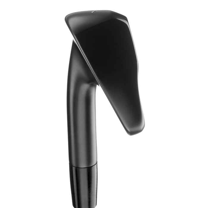 Mizuno JPX925 Hot Metal Black Iron Set