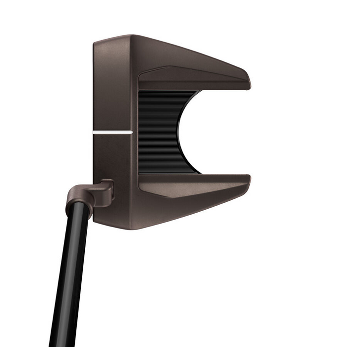TaylorMade Torched Finished Spider Tour F L-Neck Putter